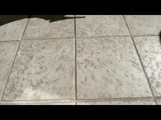 valerica steeleval steele watch online