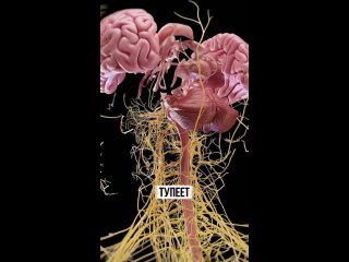 beauties of social networks - dating