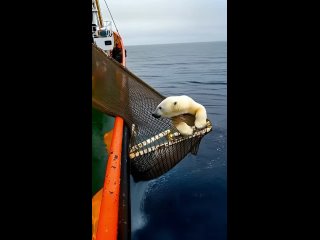 beauties of social networks - dating