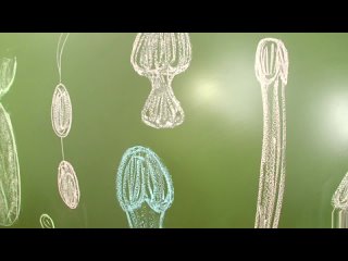 video by satish doriya