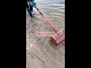 you can find anything in the sand...